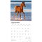 Colts and Fillies | 2026 12 x 24 Inch (Hanging) Monthly Square Wall Calendar | Plastic-Free